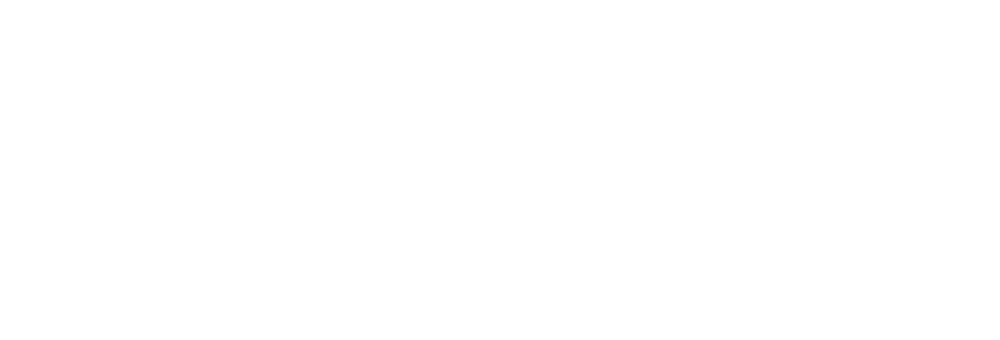 Pro Lens-w